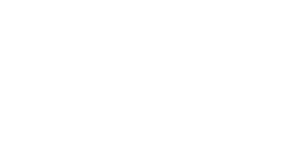 logo bonanza viaggi